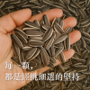 吃豆米x歸記 葵花子 (原味/焦糖) 3包組