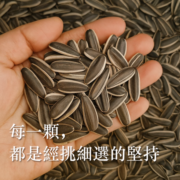 吃豆米x歸記 葵花子 (原味/焦糖) 3包組